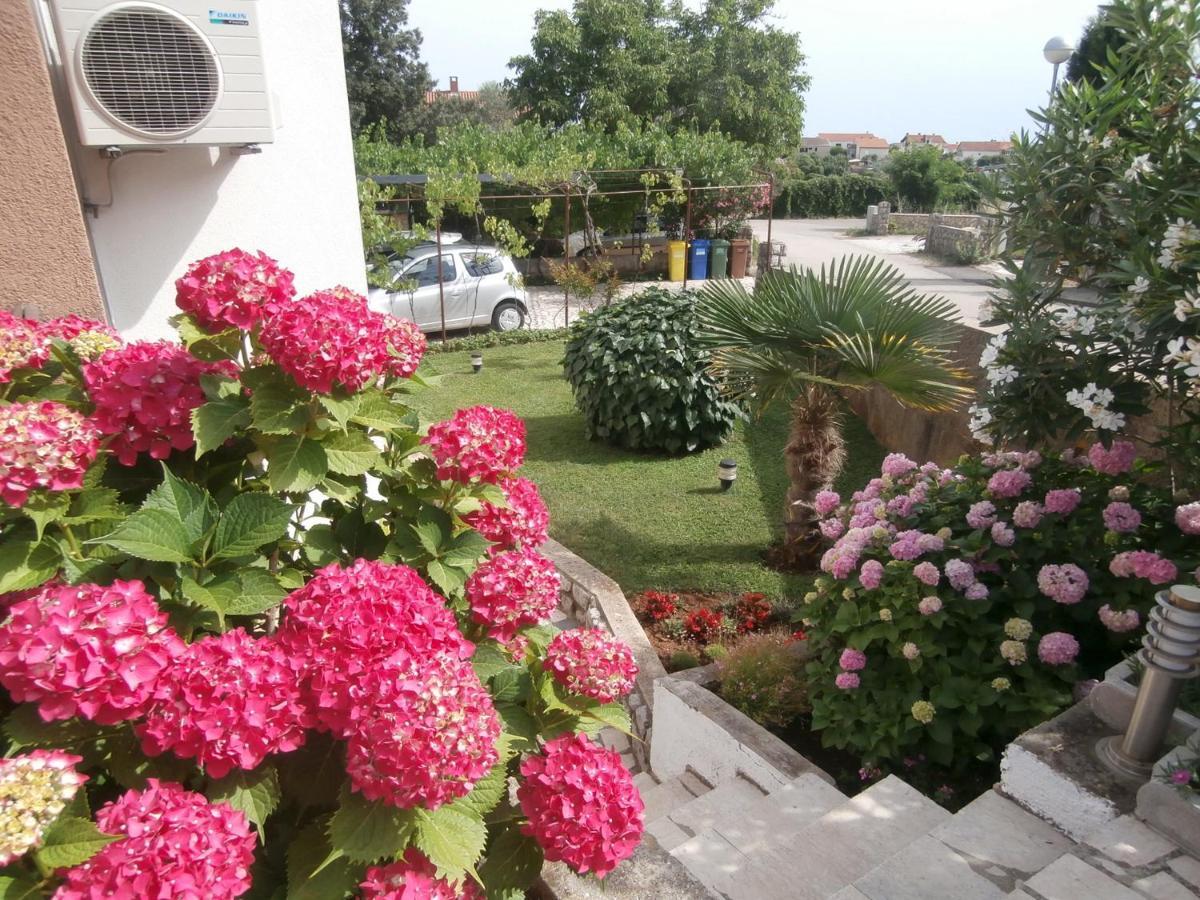 Apartments Mira Krk Krk Town Bagian luar foto